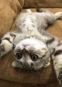 Бусинка, 3 года. Ну, где там уже весна :-)