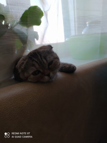 Бучечка! 4 месяца. Засоня.