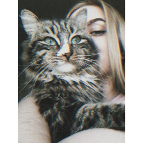 Кот Малыш. 2 года, но по размеру тянет на все 5. с. Овсянка, Зейский район