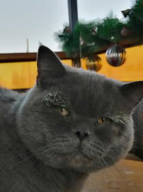 Тимофей, 5 лет. Мужчина в полном рассвете сил.