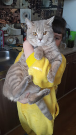 Чемпион, 9 месяцев. Большой любитель рыбы. пгт Ерофей Павлович