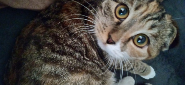 Боня, 10 месяцев