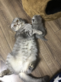 Бони с малышом. Первый раз мама!