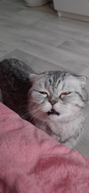 Пятилетняя Эсти. г. Благовещенск