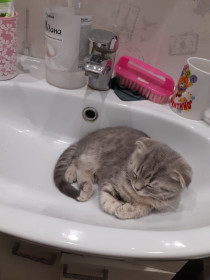 Пусть весь мир подождет