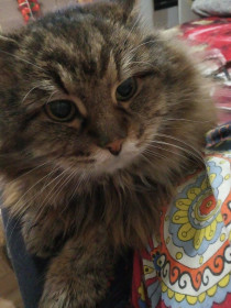 Миша, 17 лет. Самый умный долгожитель.