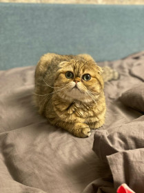 Буся, 1 год. Самая смелая путешественница.