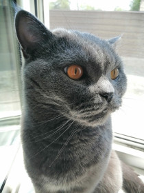 Плюшка Тима, 2 года