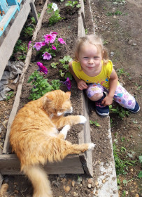 Кот Ираклий и Варвара