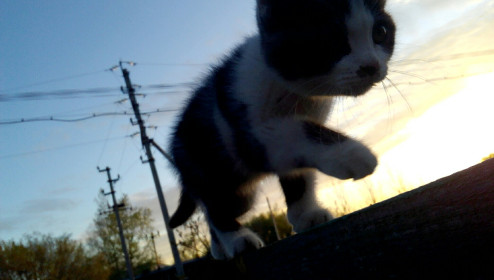 Лило, 3 мес. Я иду смотреть весну. г. Благовещенск