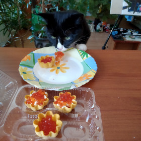 Соня, 3,5 года. Моя любимая и самая ласковая. г. Благовещенск