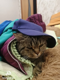 Соня, 2 года. Любит детей.