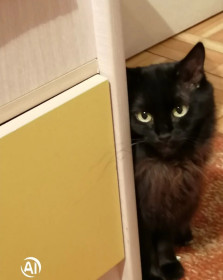 Ася, 10 лет. Люблю с детства подглядывать за окружающим миром.