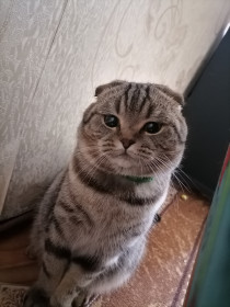 Семён, 2 года. Любит целоваться и массаж.