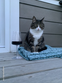 Мусенька, 10 лет. г. Южно-Сахалинск