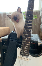 Сима, 3 месяца, девочка с прекрасными вокальными данными, Соловьёвск, Тындинский район