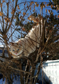 Мейсон, 2 года. Покоритель всех высот.  г. Шимановск