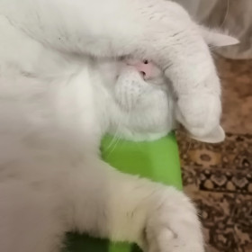 Сёма 5кг 6лет, 6кг. Выключите свет