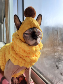 Азалия, 3года, любит гулять на улице