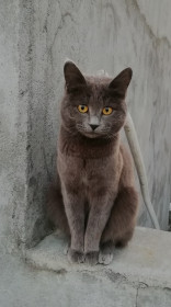 Асенька, 3,5 года. Будущая мамочка.