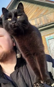 Василий. 6 месяцев. г. Циолковский