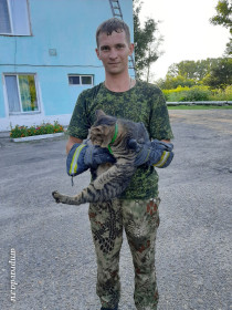 Кот Дабик, 2 года. Любит бродить по крышам.