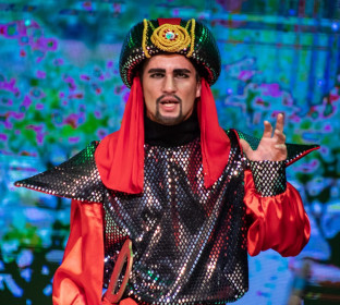 Великий визирь! Старший сын играет спектакль. Народный театр «Дебют»