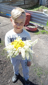 Черемуха и одуванчик. с. Тамбовка