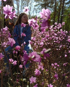 В багульнике. с. Овсянка, Зейский район