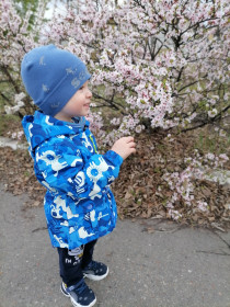 Май в Благовещенске