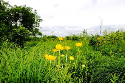 Огоньки, с. Марьяновка