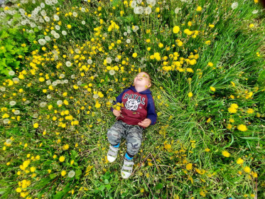 Одуванчиковая полянка, г. Белогорск