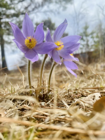 Малыши проснулись, с. Дактуй