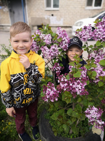 Сирень. г. Шимановск