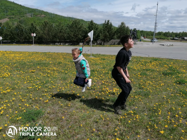 Поляна одуванчиков на Зейской ГЭС