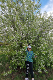 Черемуха в с. Никольское