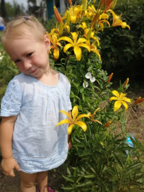 Лилии в с. Березовка