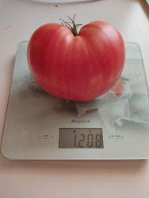 Помидор, Сковородинский р-н