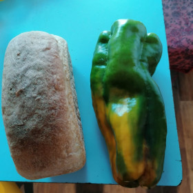 Гигантский перчик из Завитинского района