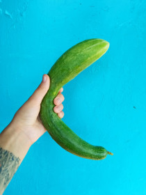 Мой первый огуречик, Тыгда