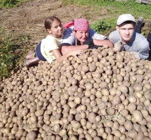 Вот такой урожай у нас в деревне!!! С. Троицкое Ивановский район.