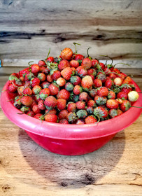 Гора клубинки из с. Варваровка