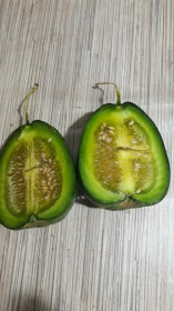 Огурдыня, г. Циолковский