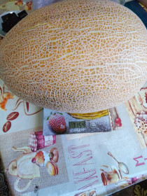 Гигандыня из Архары