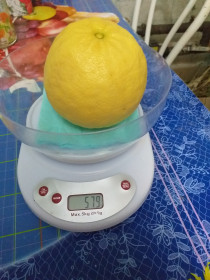 Мой первый лимон. Архара