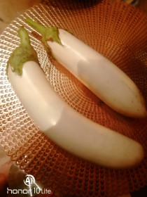 Баклажан Альбинос, Благовещенский район