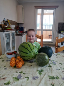 Арбузы из с. Контон-коммуна