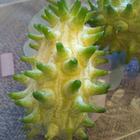 Кивано в Поярково