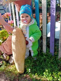 Чудо тыква из города Свободного