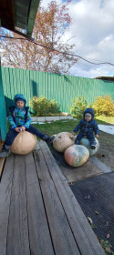 Тыква из Соловьевска